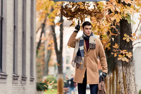 时尚的男人在外套与金色的叶子从伞下降站在秋天的街道上 — 免费的图库照片