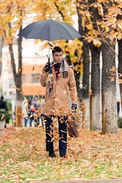 上から落ちてくる黄金の葉と紅葉通りに傘立って コートのハンサムな男 — ストック写真