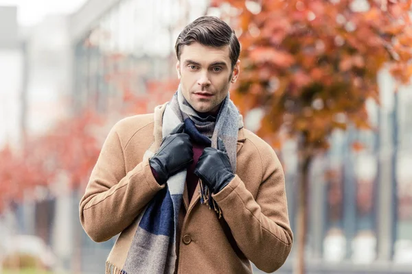 英俊的男人在外套 皮手套和围巾看着在秋天的街道上的相机 — 图库照片
