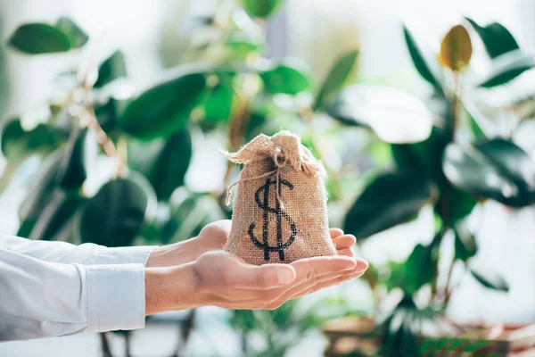 Cropped Shot Person Holding Sackcloth Bag Dollar Sign Hands — Stock Photo, Image