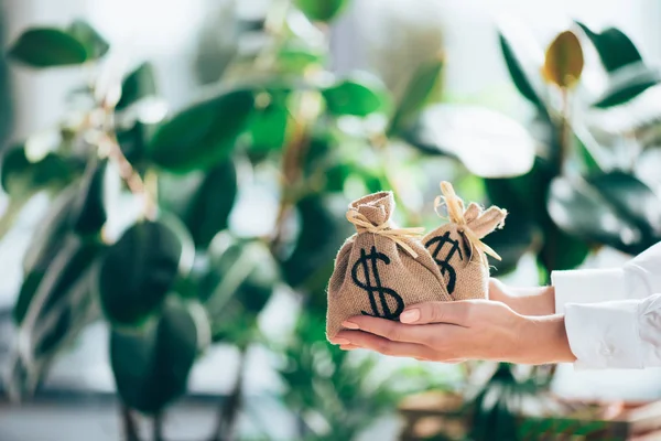 Cropped Shot Person Holding Sackcloth Bags Dollar Sign Hands — Stock Photo, Image