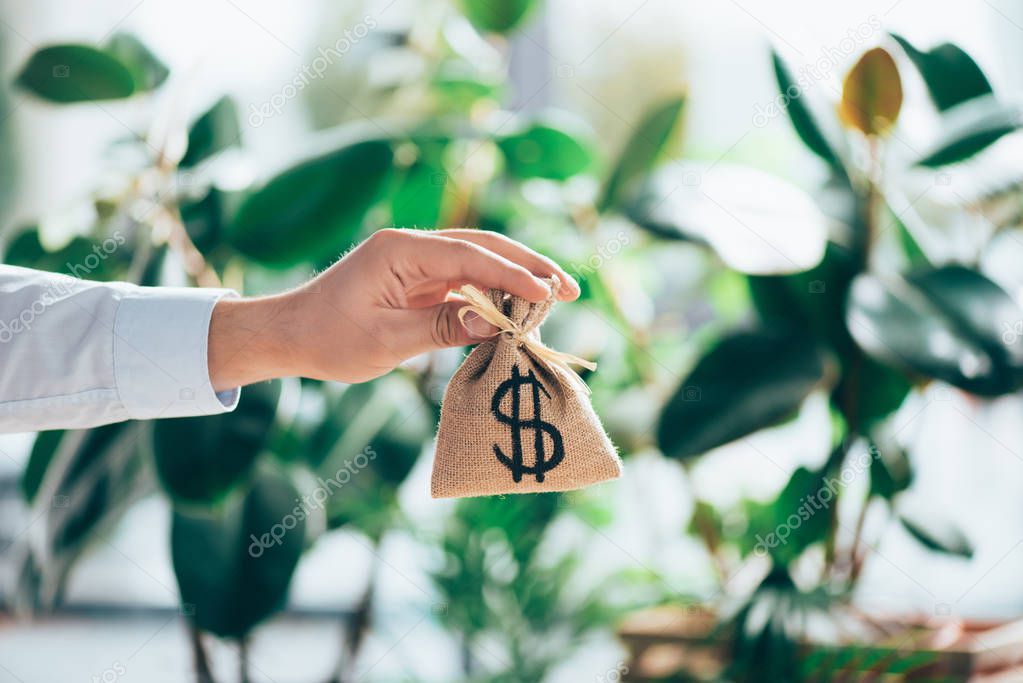 cropped shot of person holding sackcloth bag with dollar sign in hand 