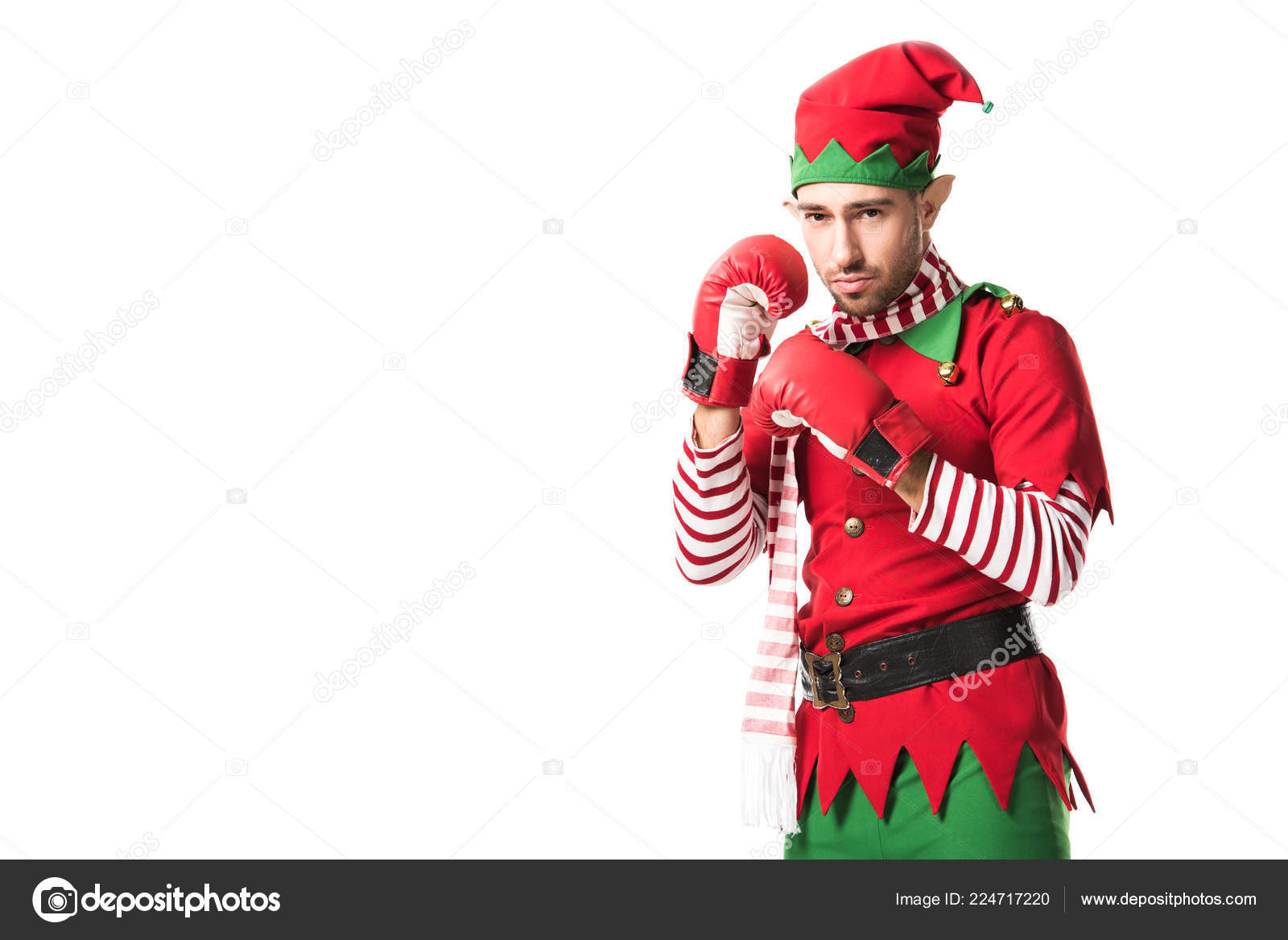 集中的男人在圣诞节精灵服装穿着红色拳击手套孤立在白色——图库图片© EdZbarzhyvetsky #224717220, image size:1600x1168