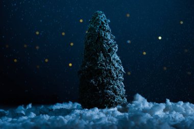 gecede karda minyatür Noel ağacı duran yakın çekim shot