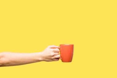 cropped shot of person holding red cup isolated on yellow clipart