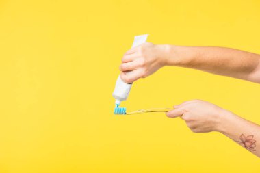cropped shot of person holding toothbrush and toothpaste isolated on yellow clipart