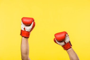 boks eldivenleri sarı izole bizzat kırpılmış atış 