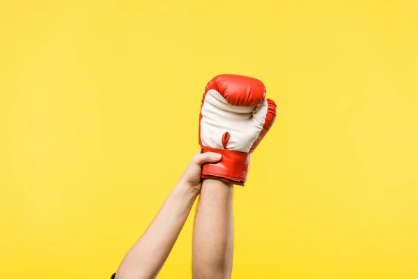 Tiro Recortado Mujer Sosteniendo Mano Del Hombre Guante Boxeo Aislado — Foto de Stock