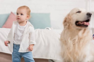 sevimli çocuk, çocuk odası katta oturan altın geri almak seyir