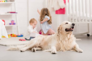 seçici odak katta, golden retriever ön planda çocuk odası yatan oynayan kız