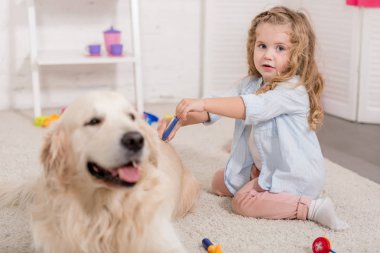 çok güzel okul öncesi hayvan hastalıklarıyla ilgili ve altın inceleyerek retriever çocuk odasında gibi davranarak
