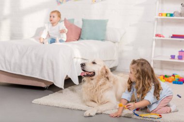 çok güzel okul öncesi hayvan hastalıklarıyla ilgili ve altın inceleyerek retriever çocuk odasında gibi davranarak