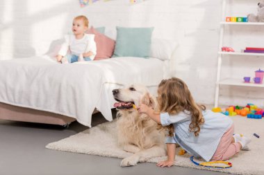 çok güzel çocuk hayvan hastalıklarıyla ilgili ve altın inceleyerek retriever çocuk odasında gibi davranarak