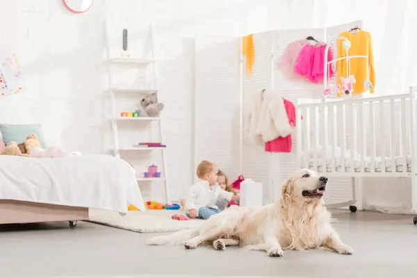 Adorable Children Playing Toys Golden Retriever Lying Foreground Children Room — Stock Photo, Image