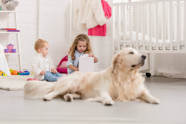 selective focus of adorable kids playing on floor, golden retriever dog lying near in children room