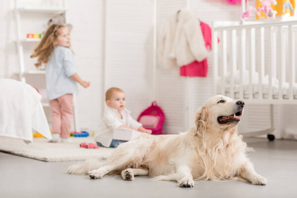 selective focus of adorable sisters playing on floor, cute golden retriever lying near in children room
