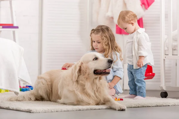 Adorable Sisters Palming Golden Retriever Children Room — Stock Photo, Image