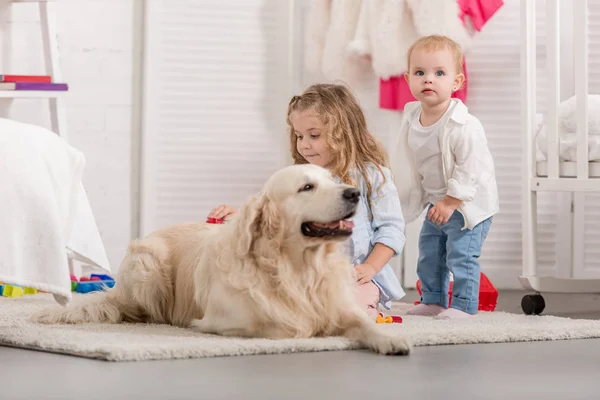 Adorable Niños Palming Golden Retriever Niños Habitación — Foto de Stock