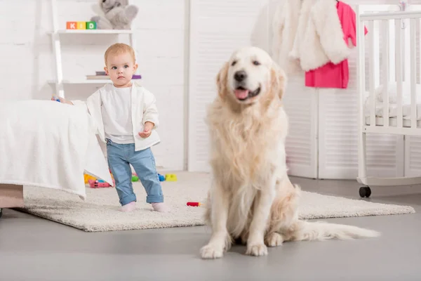 Adorable Kid Golden Retriever Children Room — Stock Photo, Image