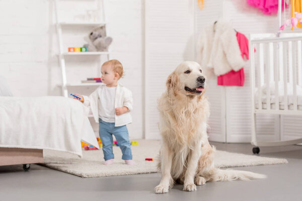 Adorable kid and fluffy golden retriever in children room — Stock Image Adorable Kid Fluffy Golden Retriever Children Room Stock Photo