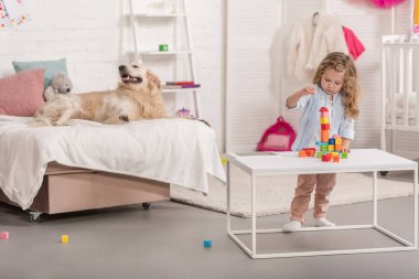 Çocuk odası yatakta yatan golden retriever eğitim küpleri ile oynayan sevimli çocuk