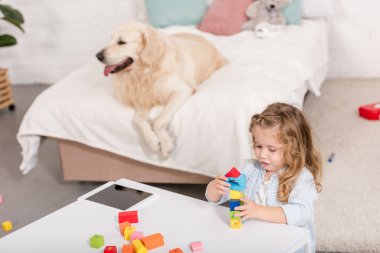 Çocuk odası yatakta yatarken şirin köpek eğitim küpleri ile oynayan sevimli çocuk yüksek açılı görünüş