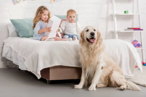 Adorable Sisters Playing Bed Golden Retriever Sitting Bed Children Room — Stock Photo, Image