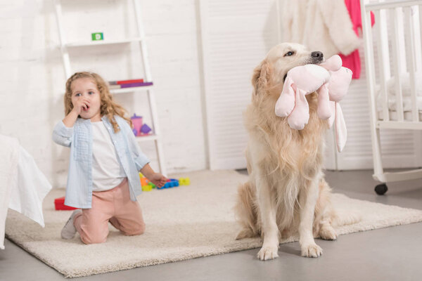 surprised adorable kid sitting near golden retriever holding toy in children room