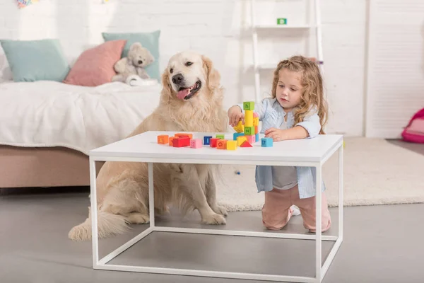 Criança Adorável Brincando Com Cubos Educativos Amigável Golden Retriever Sentado — Fotografia de Stock