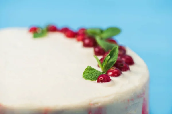 Gâteau Décoré Groseilles Rouges Feuilles Menthe Isolées Sur Bleu — Photo