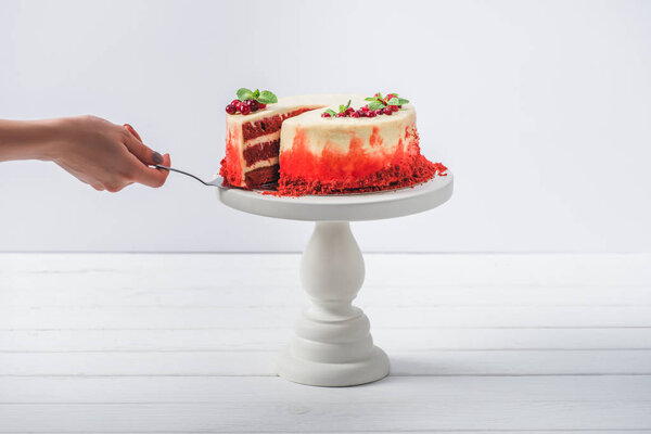 cropped view of woman taking a piece of cake with spatula isolated on white