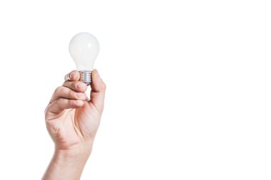 cropped view of man holding light bulb isolated on white, energy efficiency concept clipart