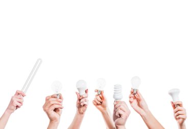 cropped view of people hands holding fluorescent lamps  in hands isolated on white, energy efficiency concept clipart