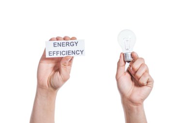 Erkek el led lamba ve beyaz, enerji verimliliği kavramı izole kağıt kartı tutan kırpılmış görünümü