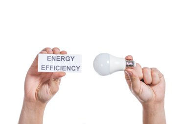 Erkek el Beyaz, enerji verimliliği kavramı izole yazı ile floresan lamba ve kağıt kartı tutan kırpılmış görünümü