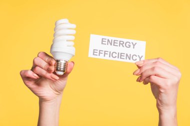 cropped view of female hands holding fluorescent lamp and paper card with lettering isolated on yellow, energy efficiency concept clipart