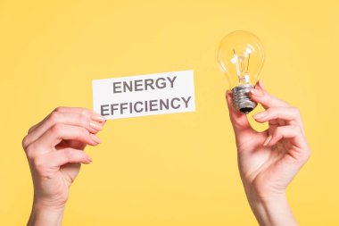 sarı, enerji verimliliği kavramı izole yazı ile lamba ve kağıt kartı tutan eller kırpılmış görünümünü açtı