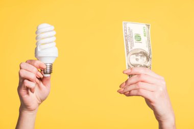 floresan lamba ve 100 dolarlık banknot sarı, enerji verimliliği kavramı izole elinde tutan eller kırpılmış görünümünü