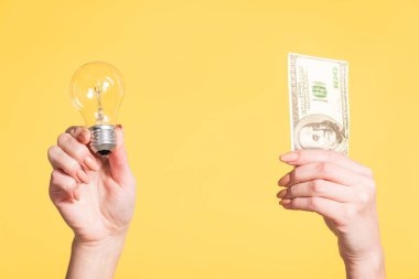 cropped view of female hands holding led lamp and hundred dollar banknote in hands isolated on yellow, energy efficiency concept clipart