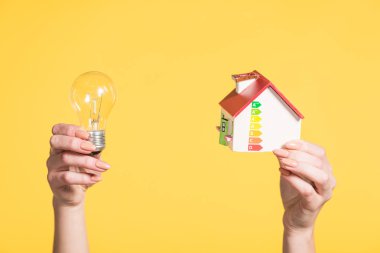 Kırpılan tutan kadın görünümünü lamba led ve ev modeli ellerinde sarı, enerji verimliliği üzerinde evde izole kavramı