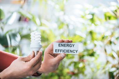 cropped view of man holding fluorescent lamp and card with lettering, energy efficiency concept clipart