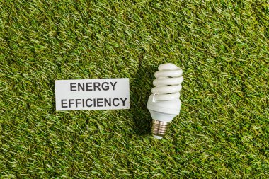  floresan lamba enerji verimliliği yazı yeşil çimenlerin üzerinde kartıyla yakınındaki üstten görünüm