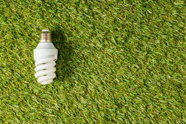 floresan lamba üstten görünüm yeşil çimen, enerji verimliliği kavramı üzerinde