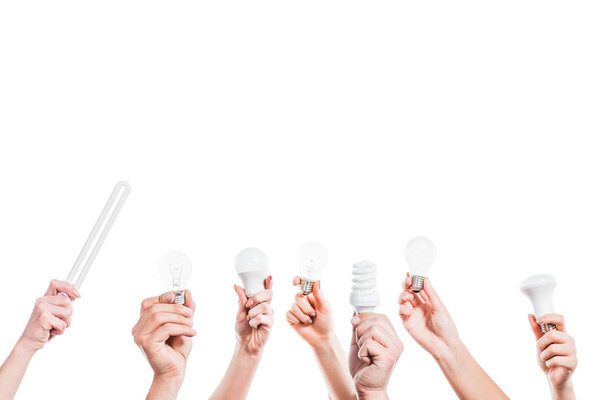 cropped view of people hands holding fluorescent lamps  in hands isolated on white, energy efficiency concept