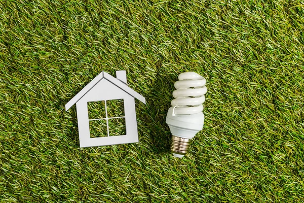 Top View Fluorescent Lamp Paper House Green Grass Energy Efficiency — Stock Photo, Image