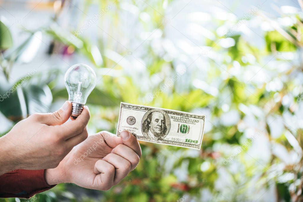 cropped view of man holding hundred dollar banknote and led lamp in hands, energy efficiency concept