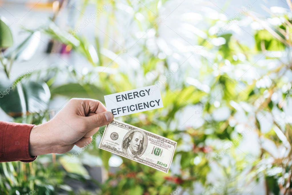 cropped view of man holding hundred dollar banknote and card with lettering, energy efficiency concept