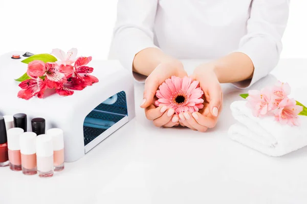 Gedeeltelijke Weergave Van Manicure Poseren Met Roze Bloemen Werkplek Geïsoleerd — Stockfoto