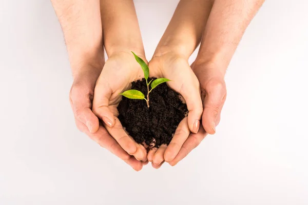 Cropped View Woman Man Holding Soil Sprout Isolated White Earth — Stock Photo, Image