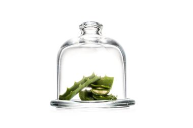 Aloe vera stüdyo çekim cam kap beyaz izole bırakır